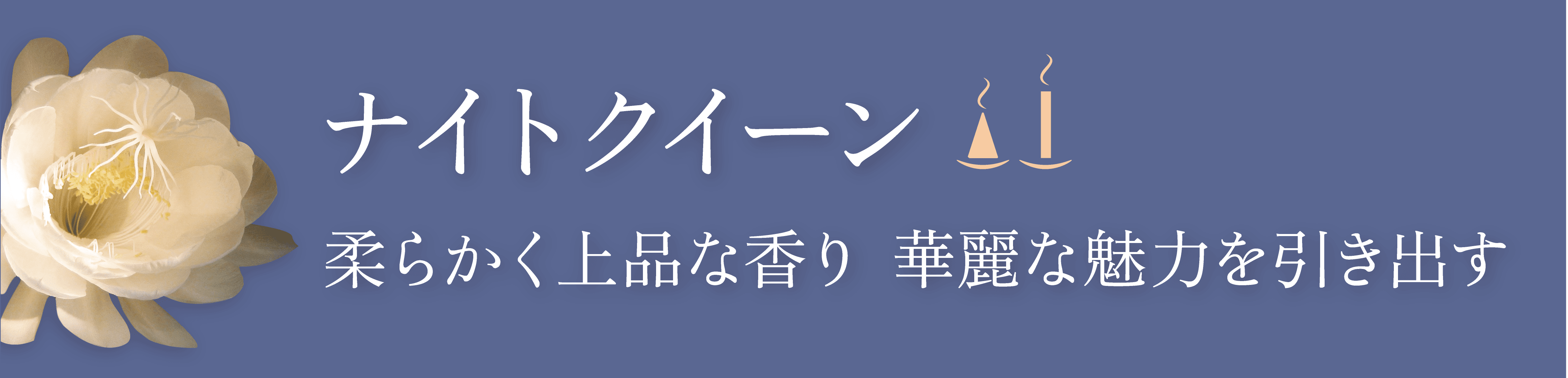 ¥Ê¥¤¥È¥¯¥¤¡¼¥ó¤Î¸«½Ð¤·¤È¥¥ã¥Ã¥Á¥³¥Ô¡¼Ê¸¸À src=