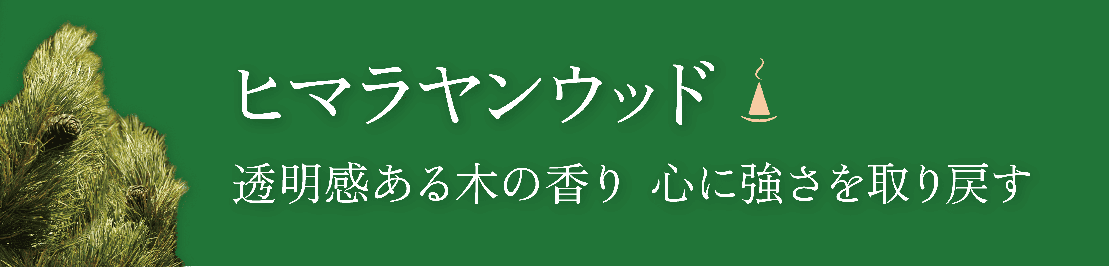 ¥Ò¥Þ¥é¥ä¥ó¥¦¥Ã¥É¤Î¸«½Ð¤·¤È¥¥ã¥Ã¥Á¥³¥Ô¡¼Ê¸¸À src=