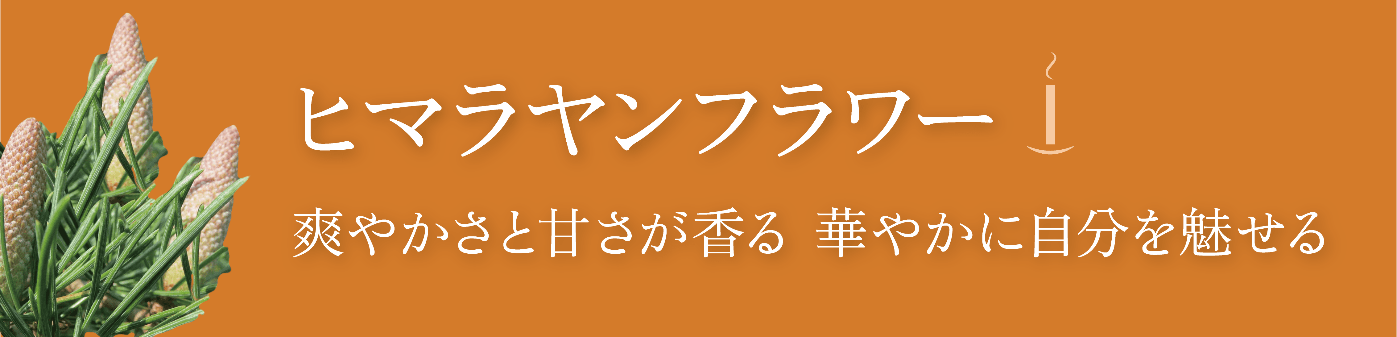 ¥Ò¥Þ¥é¥ä¥ó¥Õ¥é¥ï¡¼¤Î¸«½Ð¤·¤È¥¥ã¥Ã¥Á¥³¥Ô¡¼Ê¸¸À src=