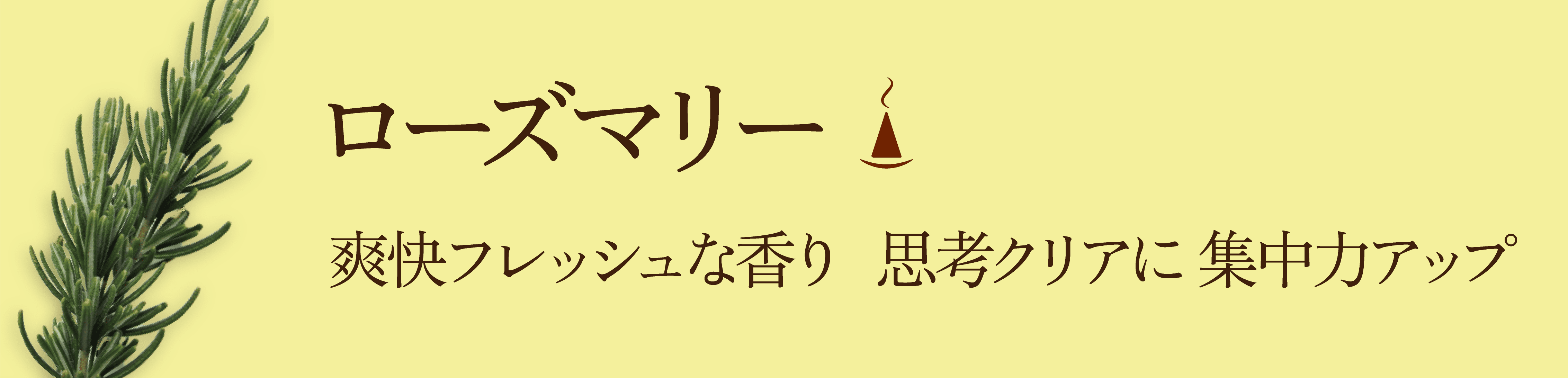 ¥í¡¼¥º¥Þ¥ê¡¼¤Î¸«½Ð¤·¤È¥¥ã¥Ã¥Á¥³¥Ô¡¼Ê¸¸À src=