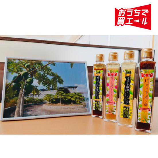 クロスロードみつぎ 尾道パパイヤドレッシングセット 送料込み 一部地域を除く さとやま商店500 クロスロードみつぎ 尾道パパイヤドレッシングセット 送料込み 一部地域を除く さとやま商店500