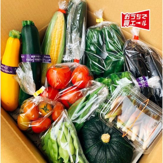 みつぎの三ツ星 野菜便 ☆送料込み（一部地域を除く）☆ - さとやま