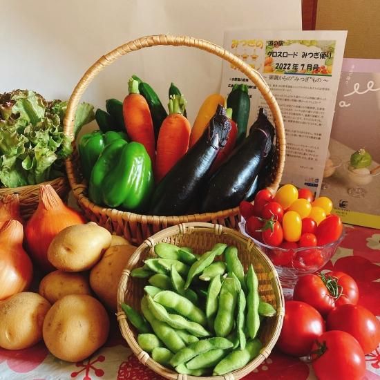 みつぎの三ツ星 野菜便 ☆送料込み（一部地域を除く）☆ - さとやま