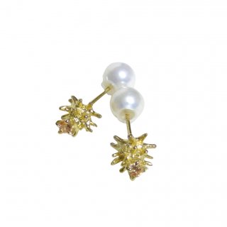 sea urchin pierce(SS) gold