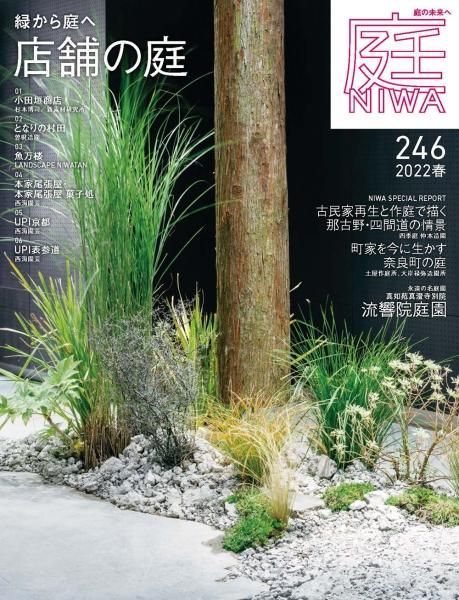  No.2462022ǯ02ˡФ Źޤ