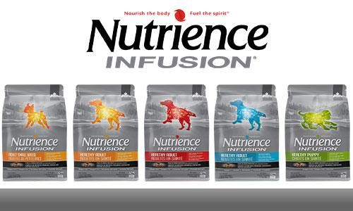 Infusion(ե塼)꡼ƤХʡ
