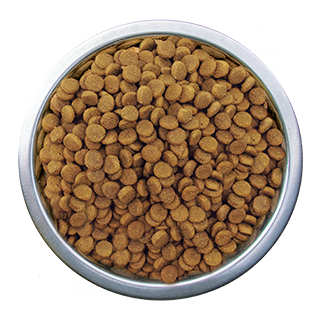 Nutrience オンラインストア キャットフード一覧 Nutrience オンラインストア キャットフード一覧