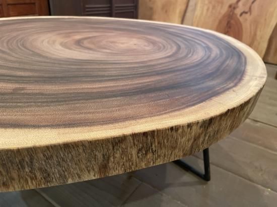 NO14 モンキーポッド一枚板（輪切り） ｜一枚板テーブル 通販