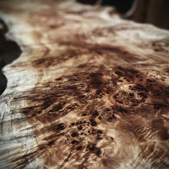 Âçºå|°ìËçÈĹ©Ë¼SEE¡ÝSAW¡ÃNO12<br />
¡¡¥Ý¥×¥é°ìËçÈĤμª