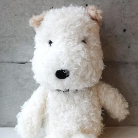 ぬいぐるみ てつ25th - ARANZINET ONLINESHOP - アランジネット