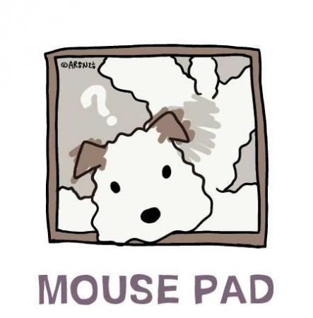 ޥѥåɡƤĤ