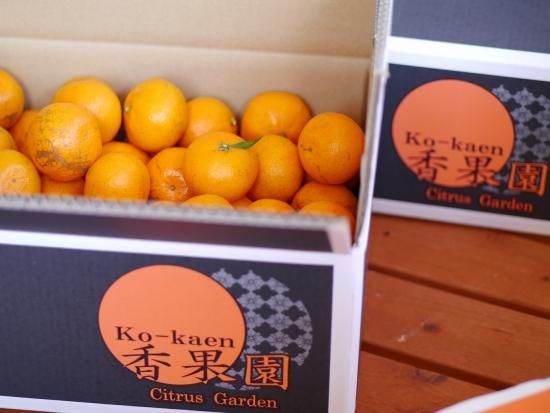 みかん 予約商品】ほどよい酸味とコク「山北露地みかん」（赤秀）5kg