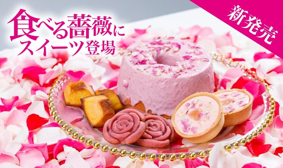 デザートローズ 新品未使用 スターバックス リザーブ® ロースタリー 東京のSAKURAモチーフや新生活