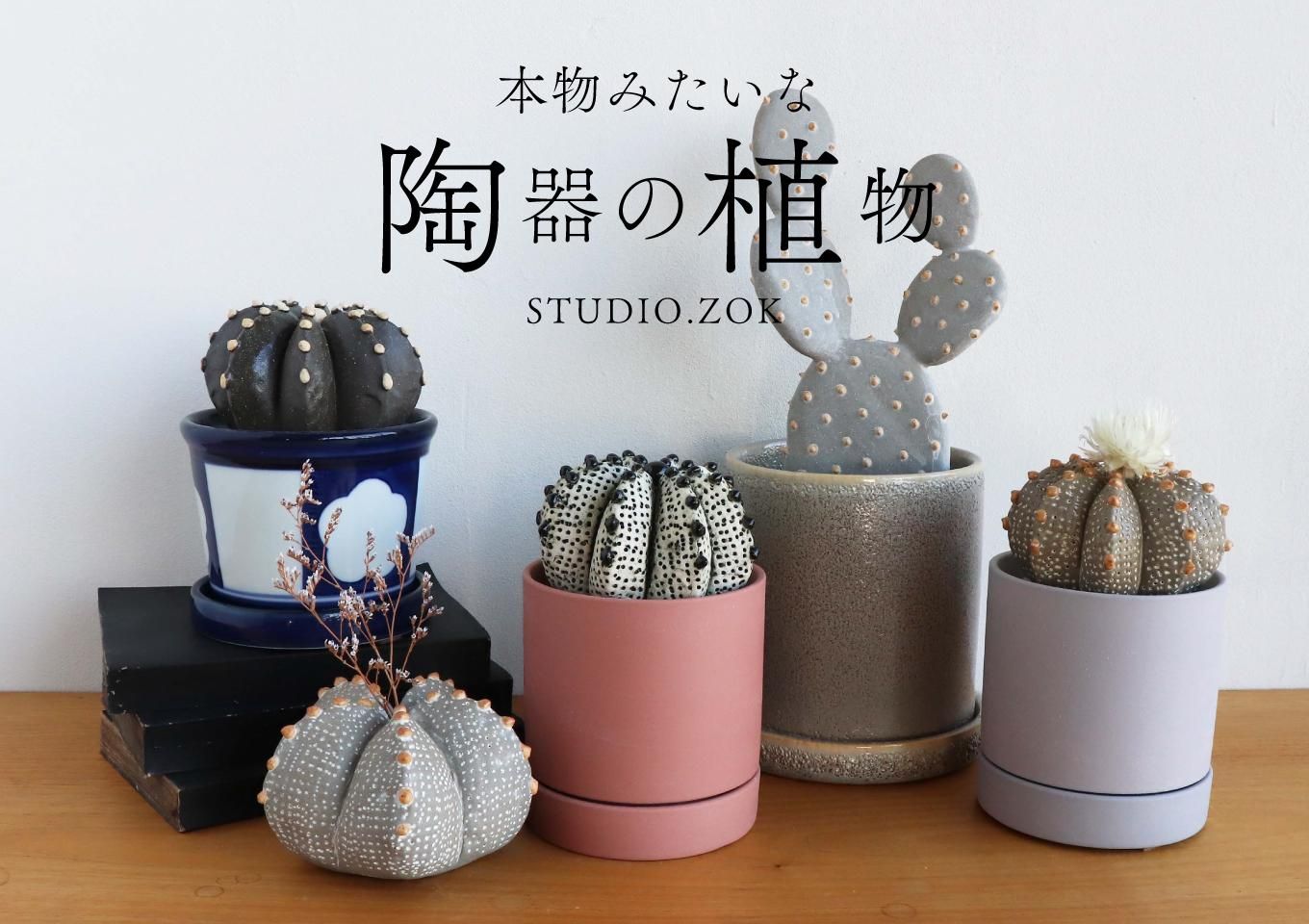 本物みたいな陶器の植物 陶植 とうしょく|STUDIO.ZOK - 丁寧な 本物みたいな陶器の植物 陶植 とうしょく|STUDIO.ZOK - 丁寧な