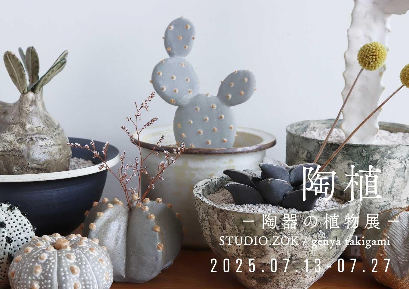 STUDIO.ZOK 陶植 エピテランサ 月世界 TOKY