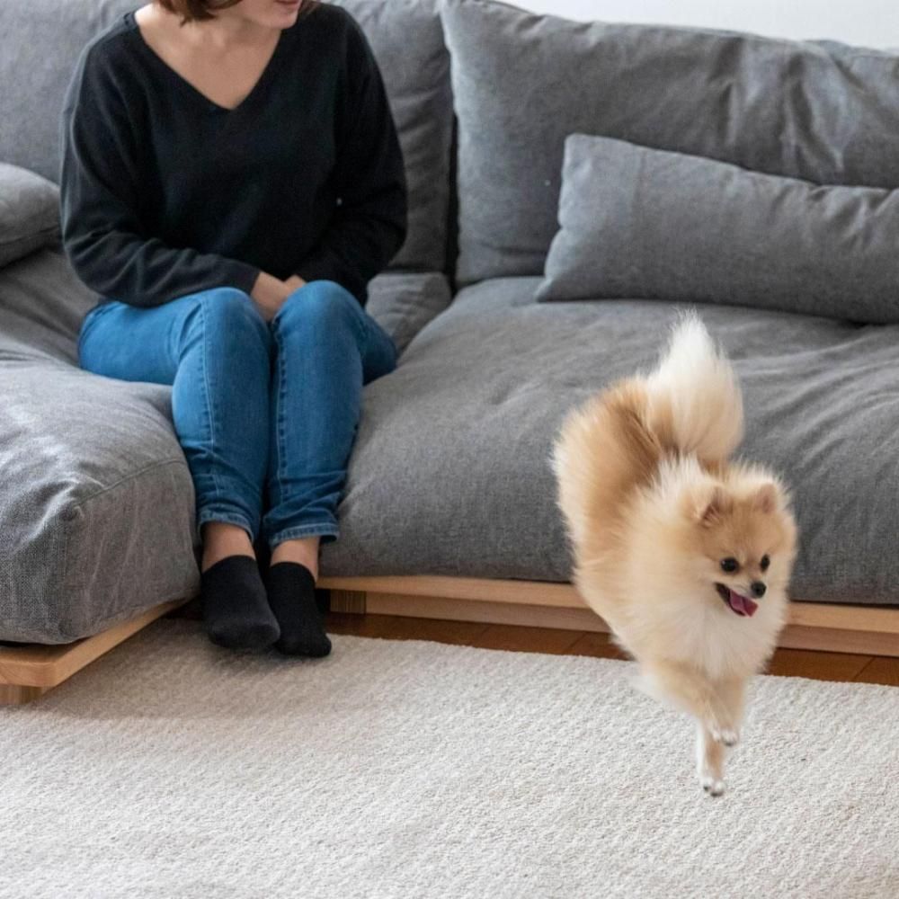 張地がえらべる｜Fumi（フミ） / 幸せになるソファ / ロング｜三島家具