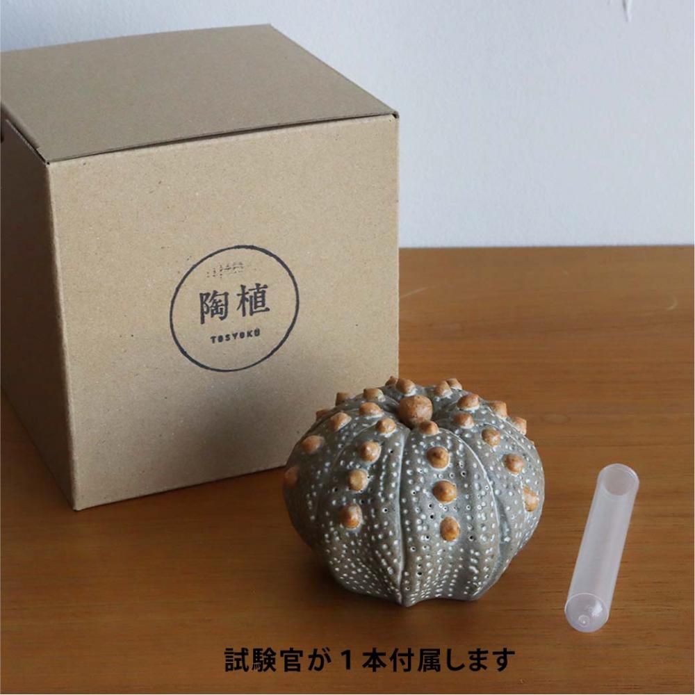 陶植/STUDIO.ZOK/ランボー玉/八角/大 - 丁寧な暮らしの店｜三島