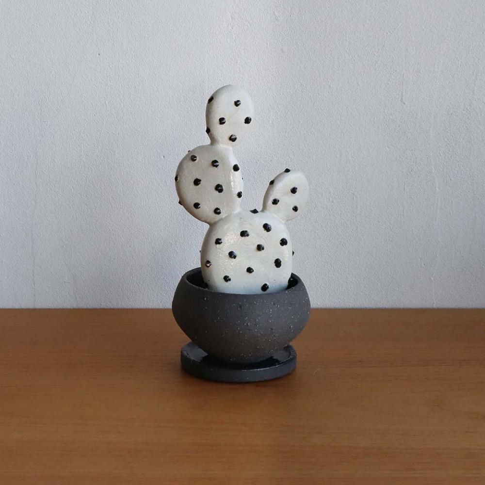本物みたいな陶器の植物 陶植 とうしょく|STUDIO.ZOK - 丁寧な 本物みたいな陶器の植物 陶植 とうしょく|STUDIO.ZOK - 丁寧な