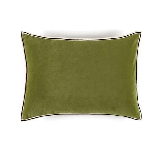 ASPLUNDELITIS CUSHION / ARISTOTE Lichen 40x55