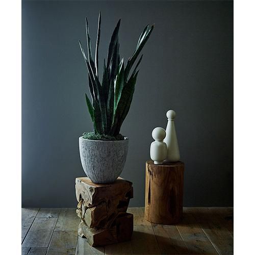 dareels】TOOR STOOL - SHOP ASPLUND ebisu WEBショップ