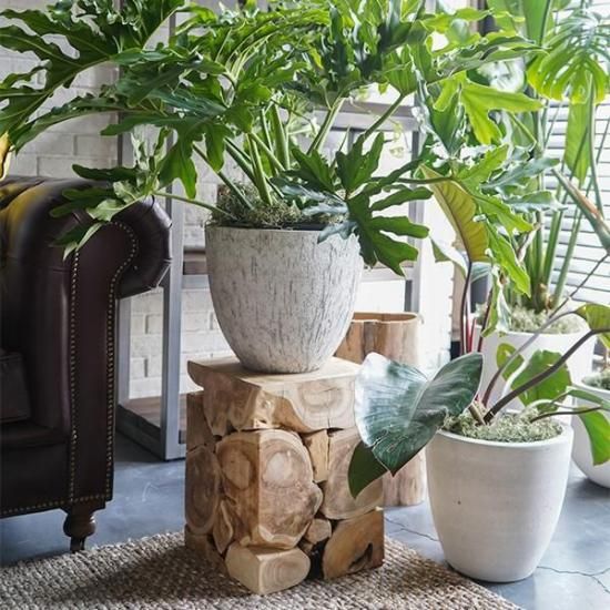 dareels】TOOR STOOL - SHOP ASPLUND ebisu WEBショップ