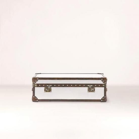 HALOWATSON MEDIUM TRUNK /BRUSHED STEEL