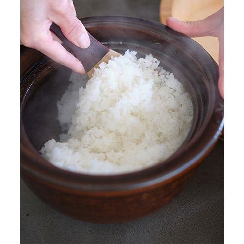 Homeland】信楽焼 米炊き釜 (3~4合) / 飴色 - SHOP ASPLUND