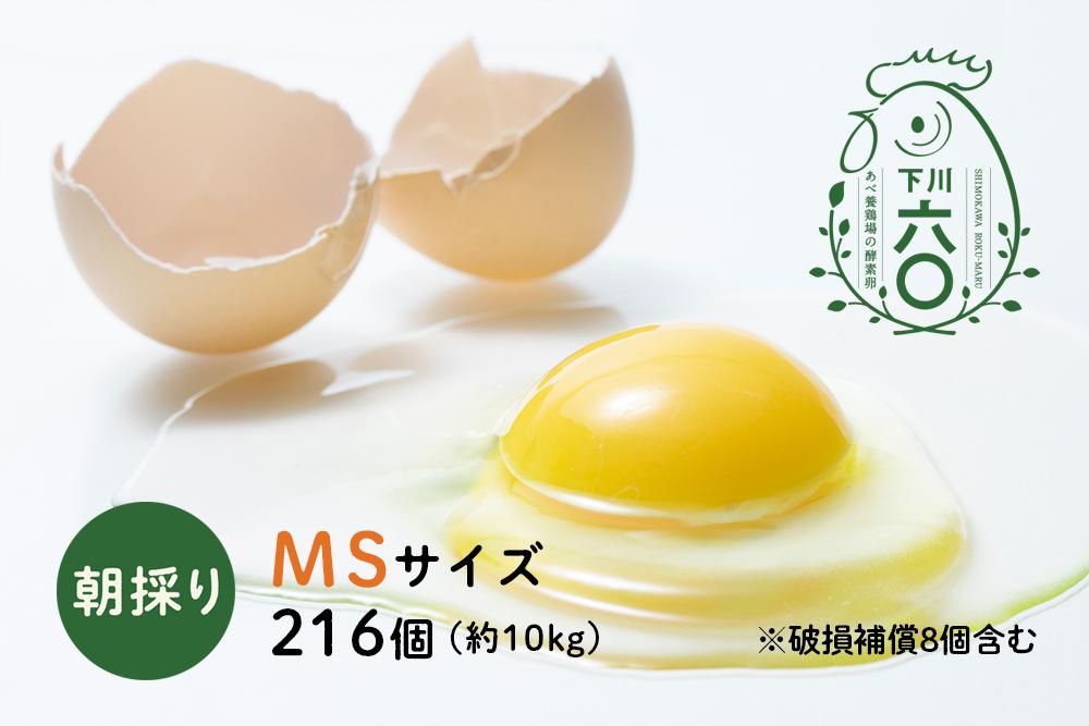 ϻ MS 216ġ10kg