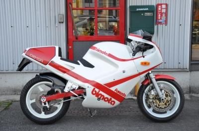 BIMOTA DB1SR