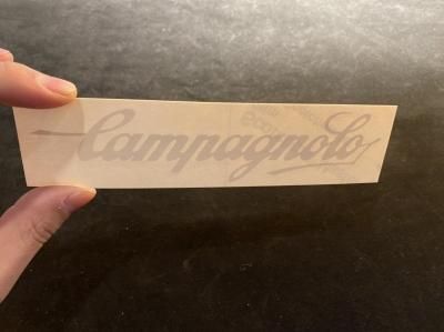 Campagnoro 極