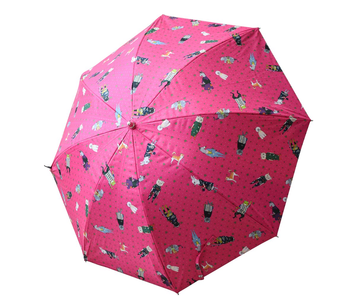 晴雨兼用傘 / 折り畳み