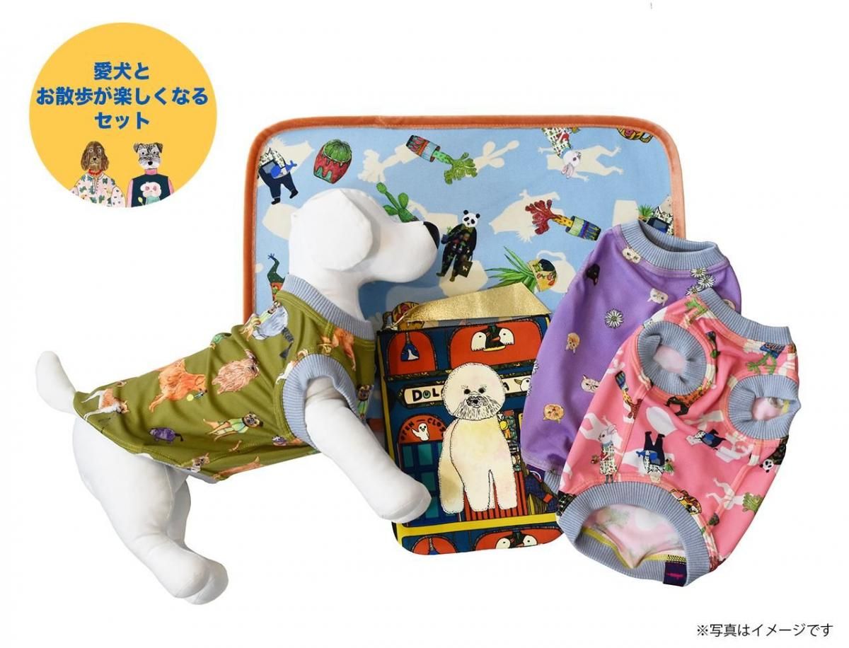 <img class='new_mark_img1' src='https://img.shop-pro.jp/img/new/icons1.gif' style='border:none;display:inline;margin:0px;padding:0px;width:auto;' />Ȥ⤬ڤʤ륻å(XS,S,M)