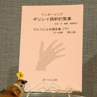 Amazon.co.jp: 絶版!! EKK新約聖書註解 全11巻 教文館 検:マタイ