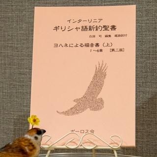 ギリシャ語と日本語の聖書 | ルカの福音書（上）1～7章 | 一羽の