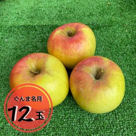 贈答用 りんごぐんま名月1箱 12玉 オンラインショップ 贈答用 りんごぐんま名月1箱 12玉 オンラインショップ