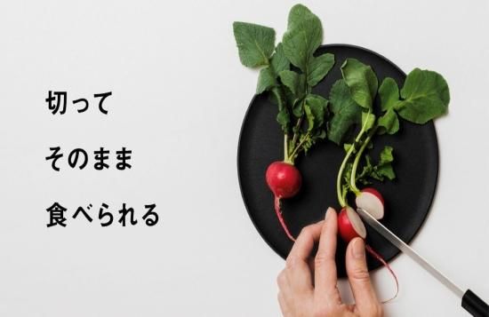 ほぼ新品!CHOPLATE チョップレート 3枚セット 22cm CHOPLATE チョップレート - CAMPHILLS ONLINE SHOP
