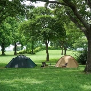 ティーエフエステント TFS tents - CAMPHILLS ONLINE SHOP ティーエフエステント TFS tents - CAMPHILLS ONLINE SHOP