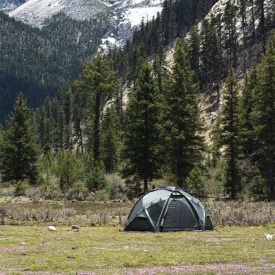 POMOLY Dome X6 Pro 自立式ドームテント 4-6人用 - CAMPHILLS ONLINE SHOP