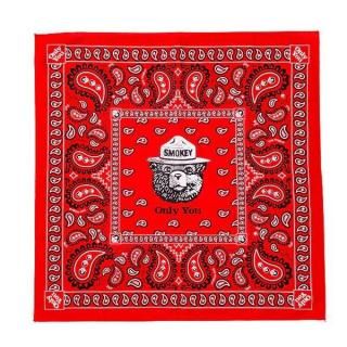 ץƥåɥ᡼ ͥ㡼ץȥХ SMOKEY PAISLEY RED
