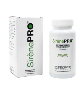 Sirene PROʥ졼ͥץ