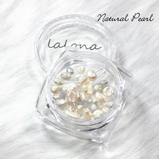  [ LALONA ]·Хåøѡ ( γγ )ͥ/ͥ륢/쥸/ӥ塼/ϥɥᥤ/ŷ/ͥ/ѡ
