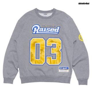 ̵STREETWISE 80's RAISED CREWNECK SWEATGRAY