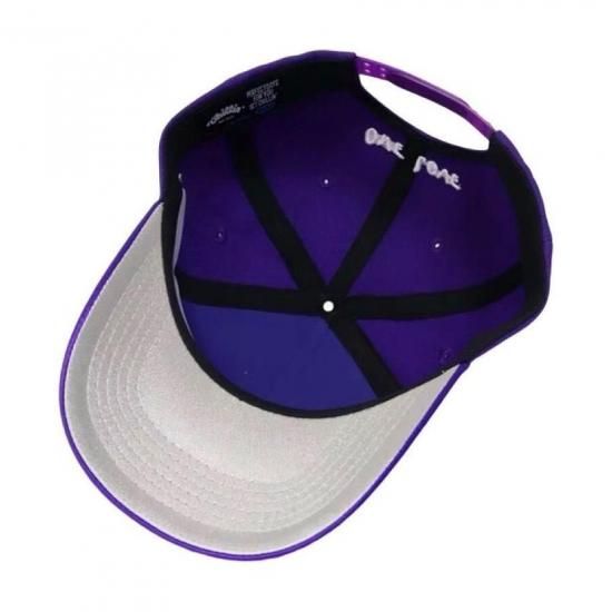 送料無料】CHILLIN NY BUTTERFLY SHINY SNAPBACK CAP【PURPLE