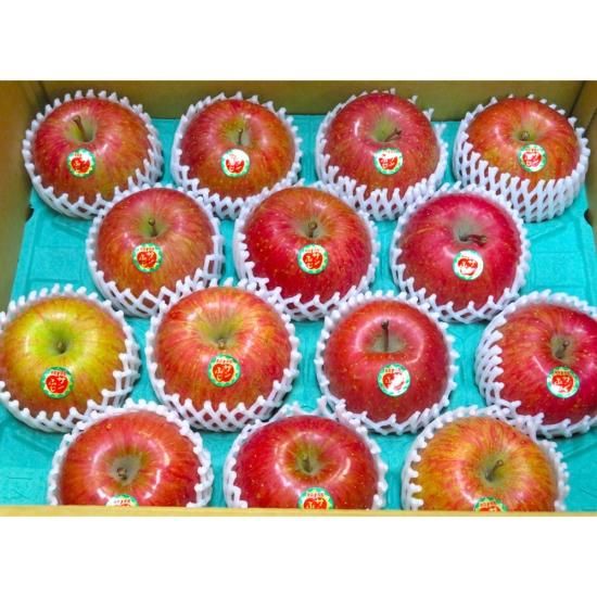 青森県産りんご サンふじ 14個詰合せ 約5kg | 甘味と酸味が絶妙な人気