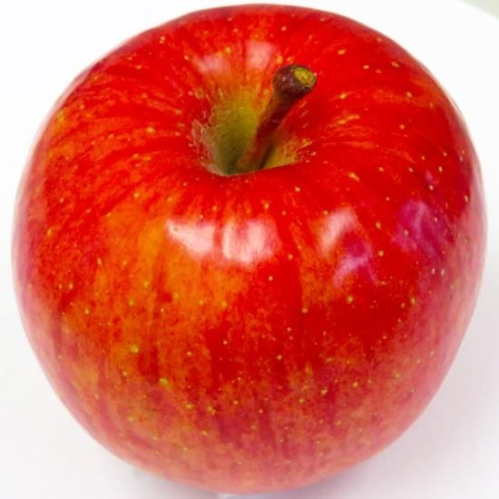 青森県産りんご サンふじ 14個詰合せ 約5kg | 甘味と酸味が絶妙な人気