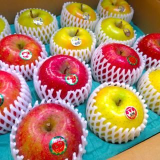 <img class='new_mark_img1' src='https://img.shop-pro.jp/img/new/icons29.gif' style='border:none;display:inline;margin:0px;padding:0px;width:auto;' />Ŀ 14 ͹礻 ʼ浪ޤ  5500