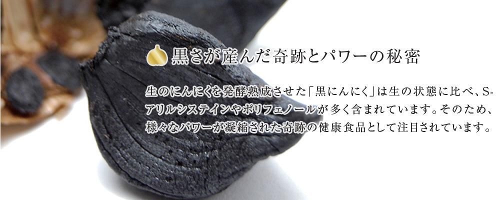 リーベラをGET♪＊ジョイフルの加藤農園・大木ナーセリーさん