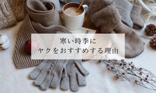 ˥䥯򤪤᤹ͳ