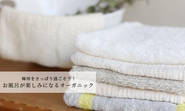 ᤸᵨ⥿ǤäѤꡪ