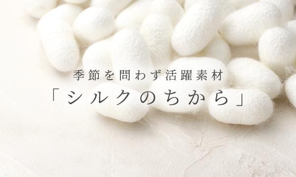 鷺Ǻ֥륯Τ